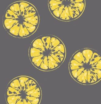 Brighton Fringe Review: Lemons Lemons Lemons Lemons Lemons
